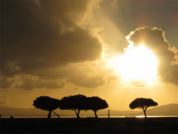 sunset_flare_sm