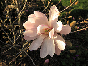 feb_02_sm