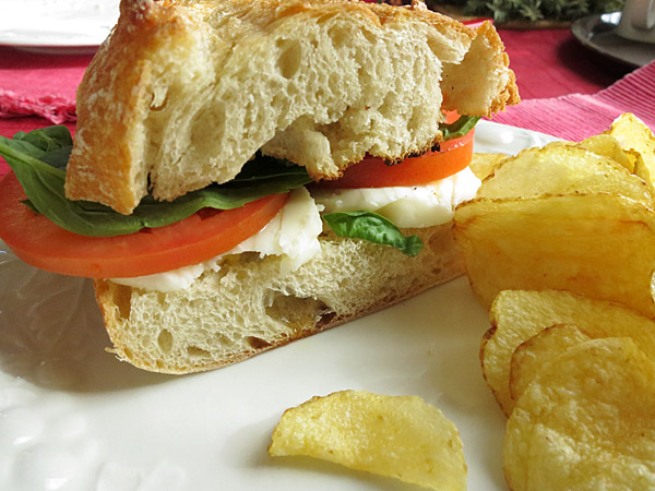mozz_sammy_01_sm