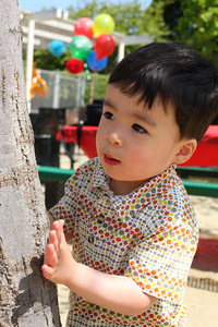 noah_2nd_07_med