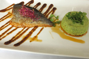 fish_bois_de_vincennes