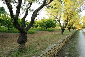 fontblanche_driveway