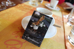 l_estellan_1