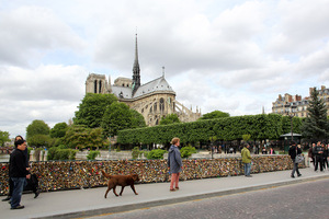 locked_bridge_dog