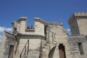 Roy & Jane palace_18
