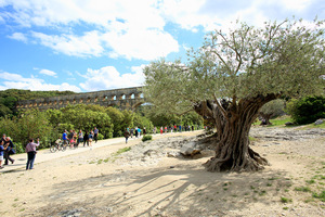 pont_du_gard_7