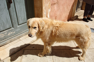 roussillon_1