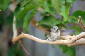 feeding_07