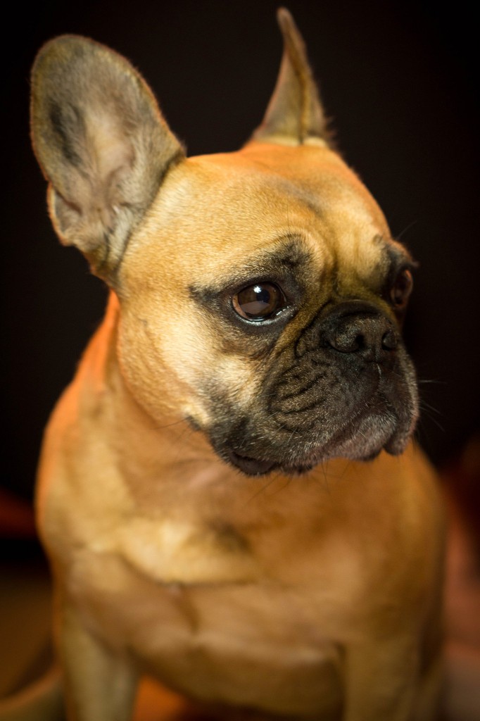 A6000