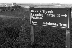 newark_03