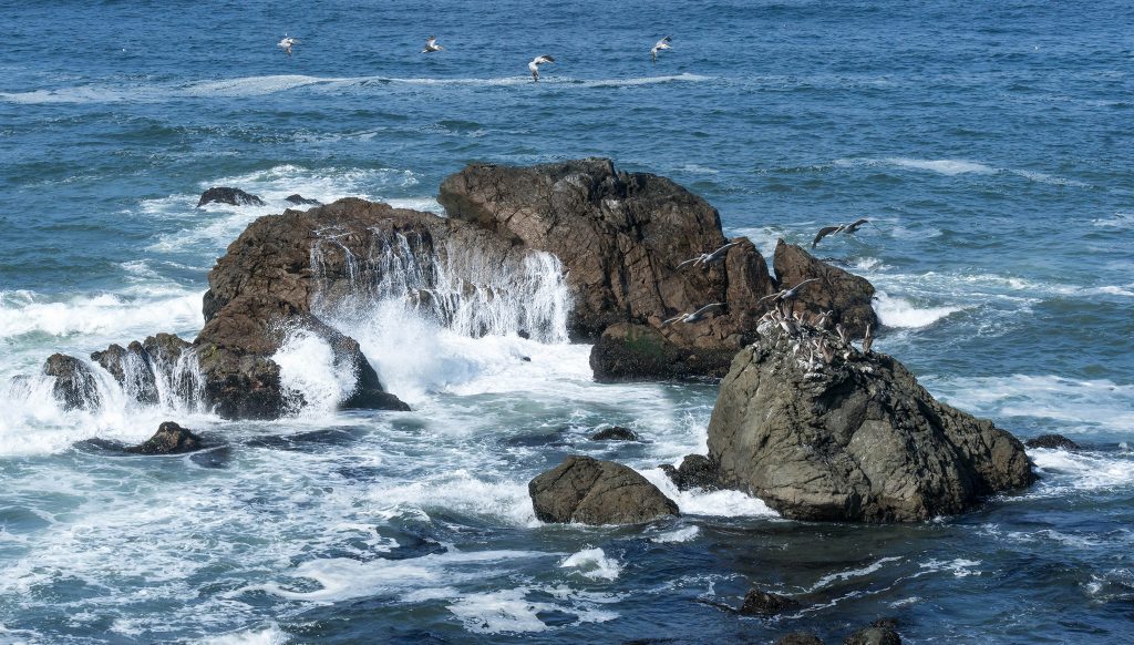 rocky_shore_3